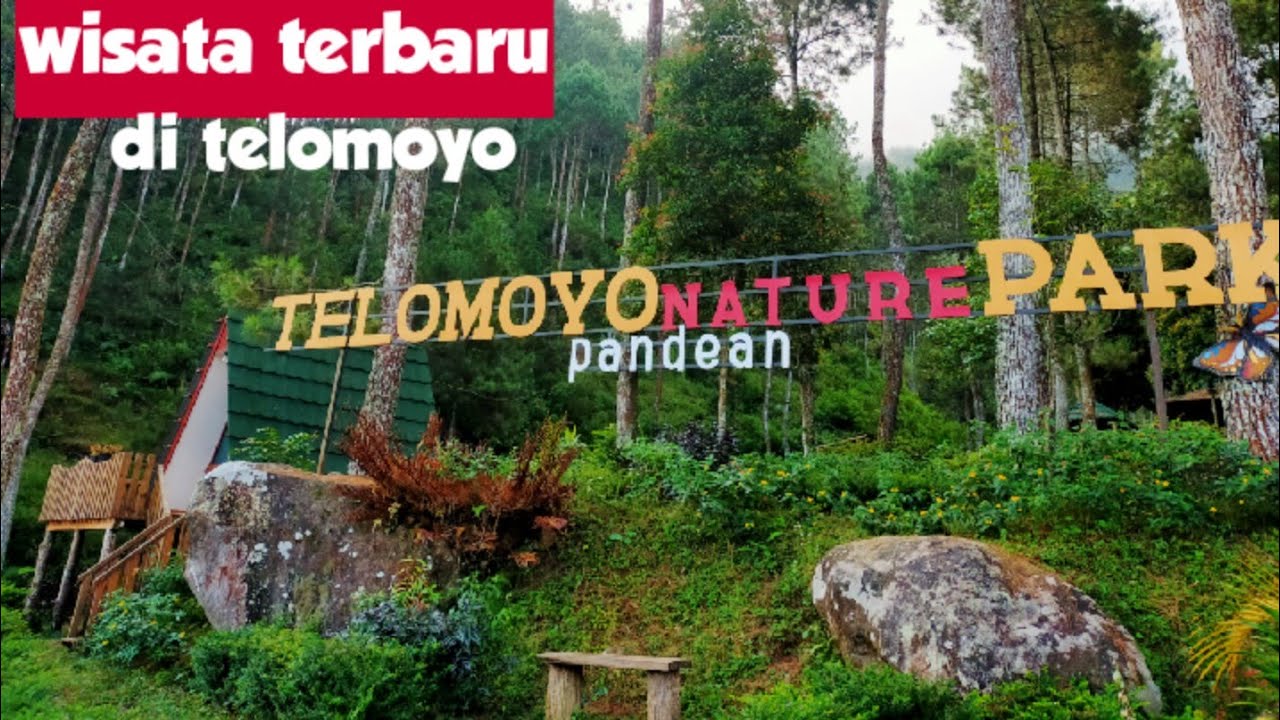 Telomoyo Nature Park: Surga Alam nan Memesona di Jawa Tengah